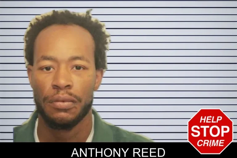 Anthony Reed