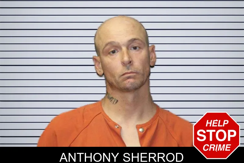 Anthony Sherrod mugshot