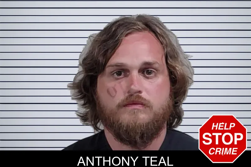 Anthony Teal mugshot