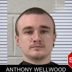 Anthony Wellwood mugshot