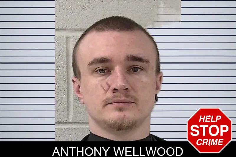 Anthony Wellwood mugshot
