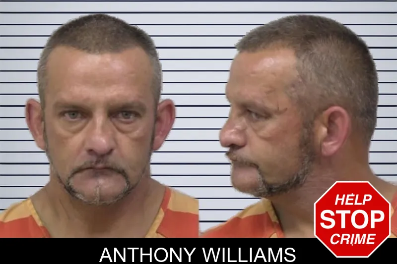 Anthony Williams mugshot – Paulding County , Georgia Anthony Williams mugshot