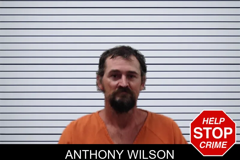 Anthony Wilson mugshot