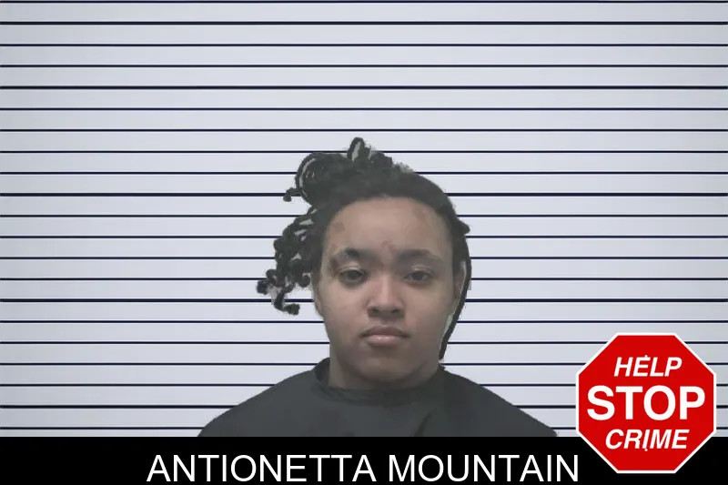 Antionetta Mountain mugshot