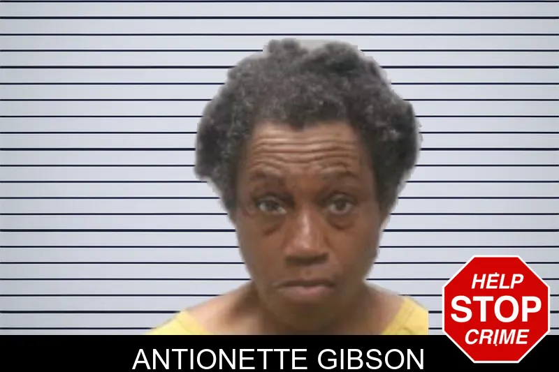 Antionette Gibson mugshot