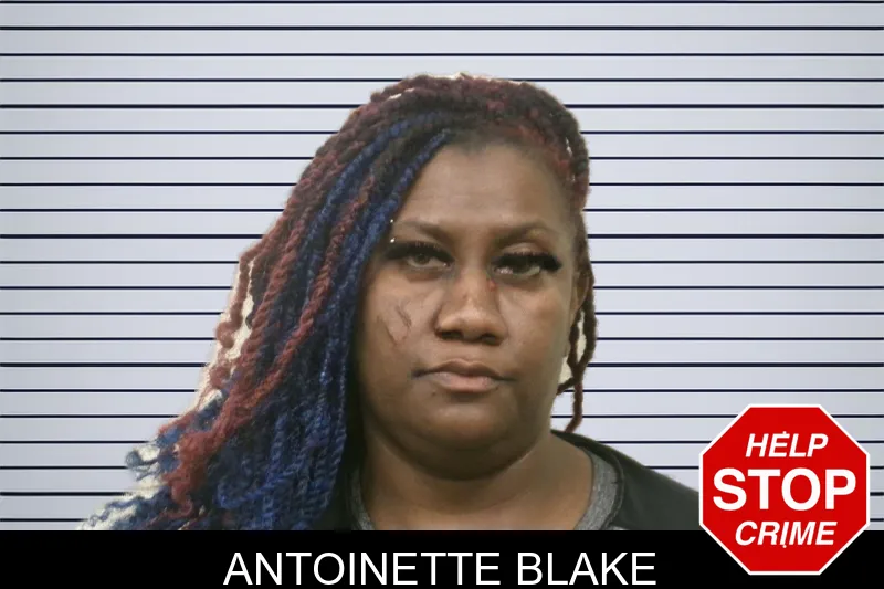 Antoinette Blake mugshot – Bulloch County , Georgia Antoinette Blake mugshot