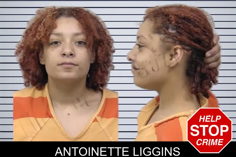 Antoinette Liggins mugshot
