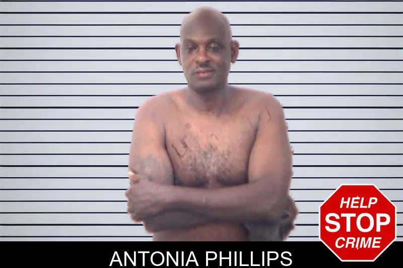 Antonia Phillips mugshot