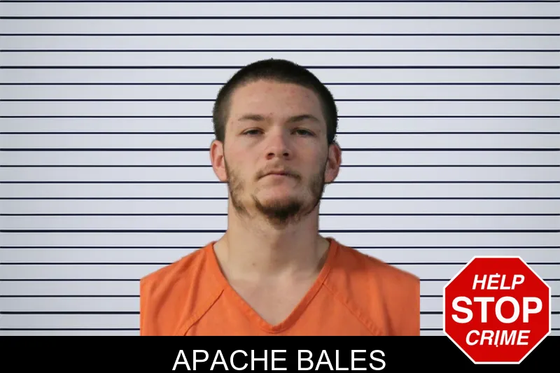 Apache Bales mugshot