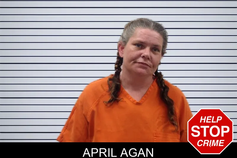 April Agan mugshot