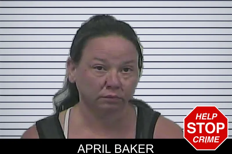 April Baker mugshot