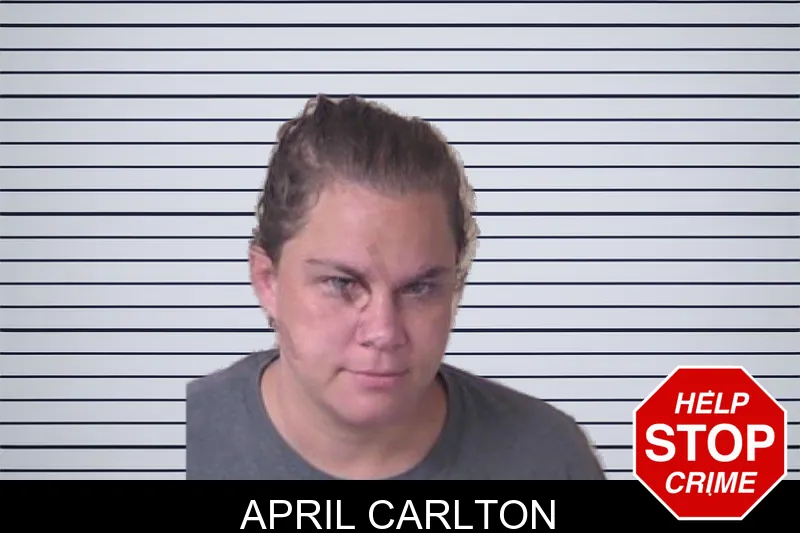 April Carlton mugshot
