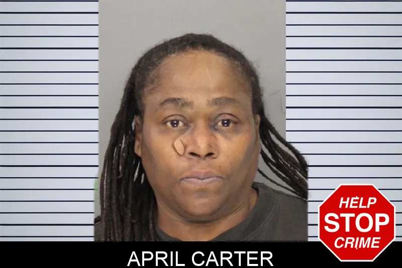 April Carter mugshot