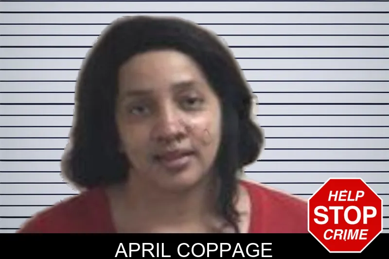 April Coppage mugshot – Henry County , Georgia April Coppage mugshot