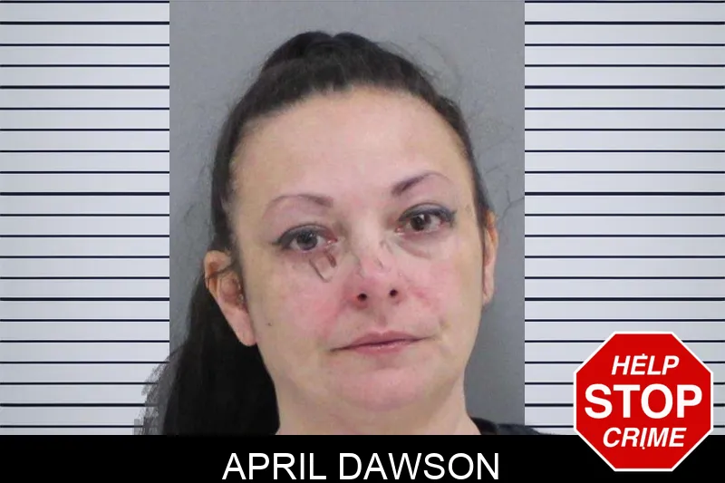 April Dawson mugshot