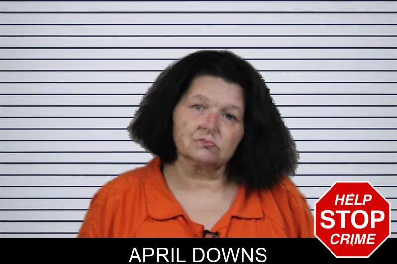 April Downs mugshot