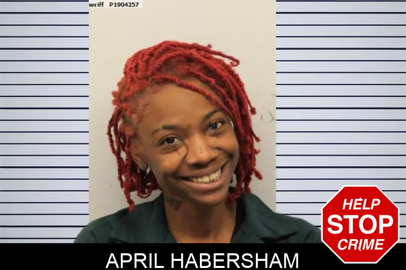 April Habersham mugshot