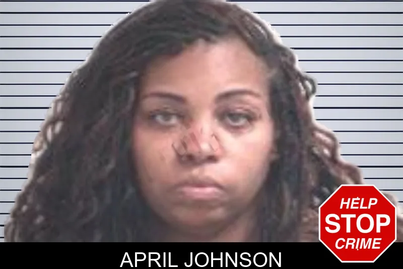April Johnson mugshot