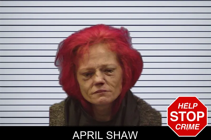 April Shaw mugshot – Chattooga County , Georgia April Shaw mugshot
