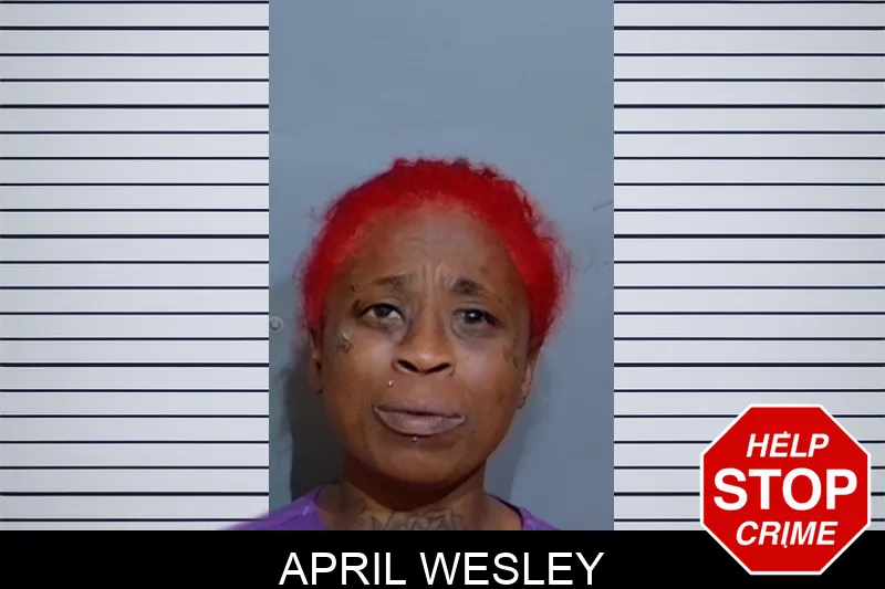 April Wesley mugshot