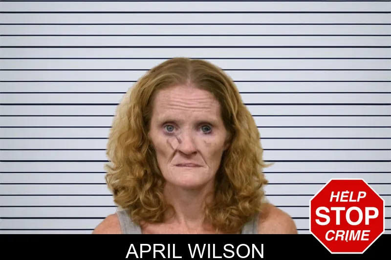 April Wilson mugshot