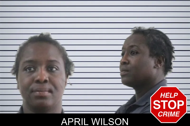 April Wilson mugshot – Houston County , Georgia April Wilson mugshot