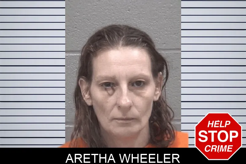 Aretha Wheeler mugshot