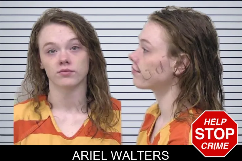 Ariel Walters mugshot – Paulding County , Georgia Ariel Walters mugshot