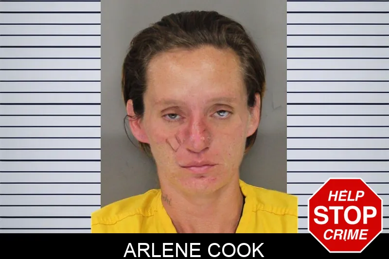 Arlene Cook mugshot