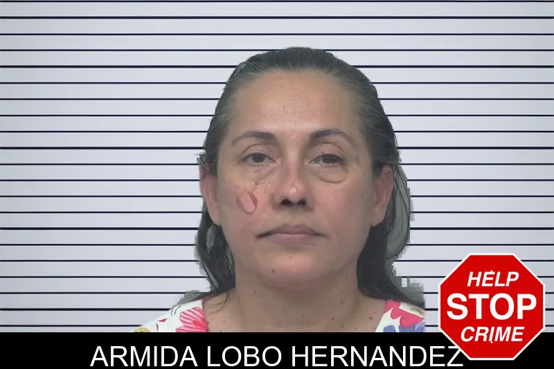 Armida Lobo Hernandez mugshot – Gwinnett County , Georgia Armida Lobo Hernandez mugshot