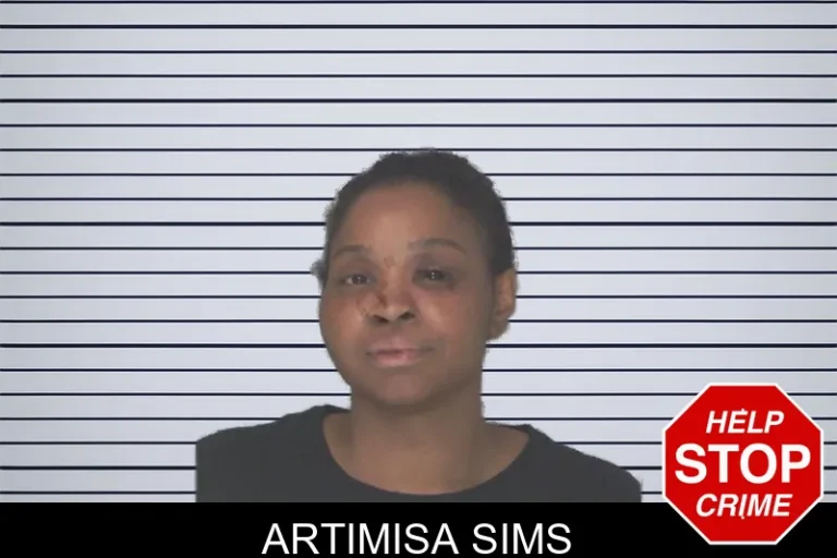 Artimisa Sims