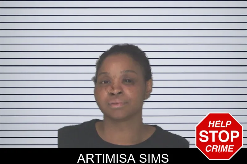 Artimisa Sims mugshot – Douglas County , Georgia Artimisa Sims mugshot