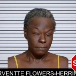 Arventte Flowers-Herring mugshot