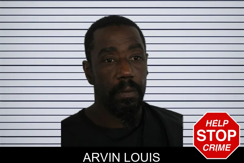 Arvin Louis mugshot