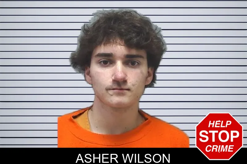 Asher Wilson mugshot