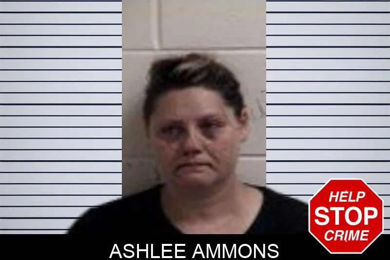 Ashlee Ammons mugshot