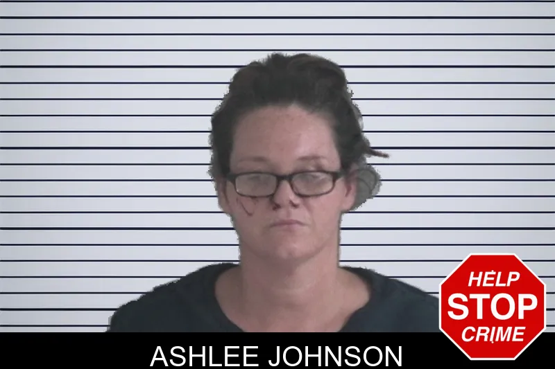 Ashlee Johnson mugshot – Brantley County , Georgia Ashlee Johnson mugshot