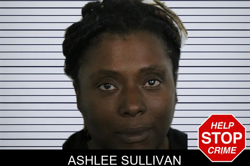 Ashlee Sullivan mugshot – Floyd County , Georgia Ashlee Sullivan mugshot