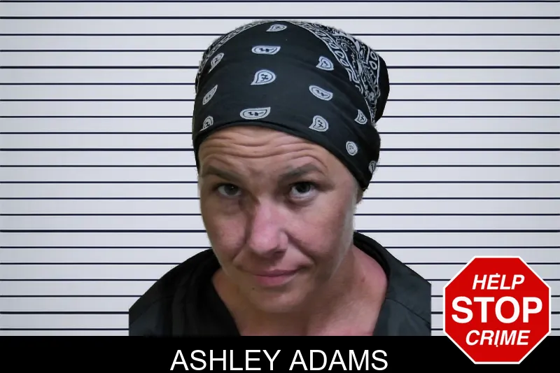 Ashley Adams mugshot
