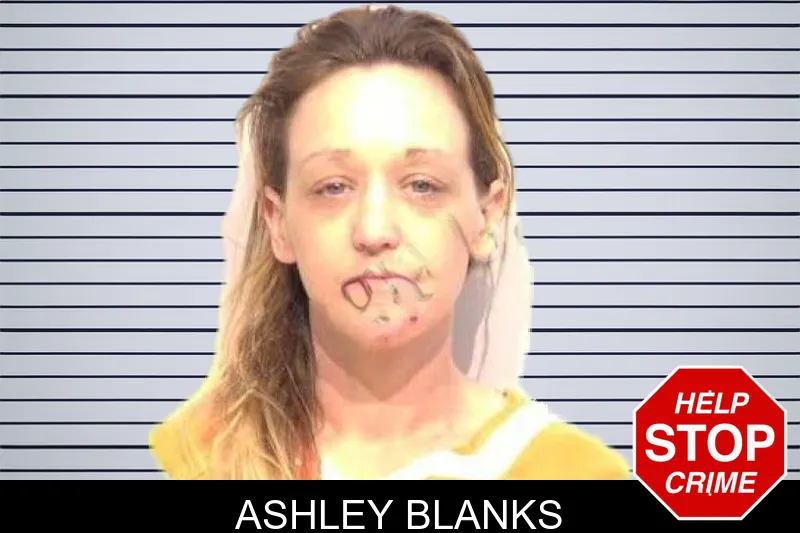 Ashley Blanks mugshot – Bartow County , Georgia Ashley Blanks mugshot