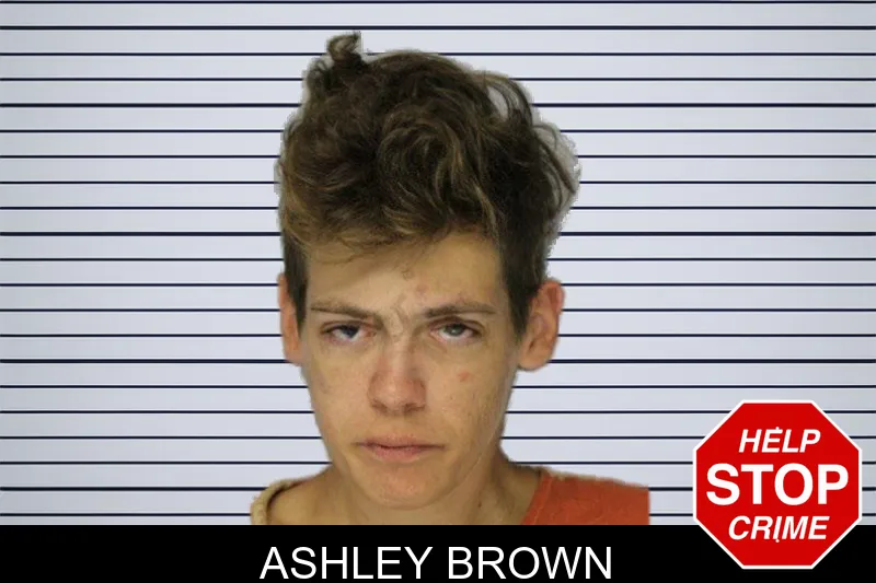 Ashley Brown mugshot