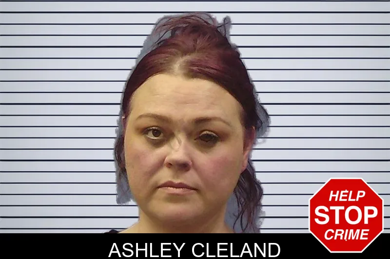Ashley Cleland mugshot – Chattooga County , Georgia Ashley Cleland mugshot
