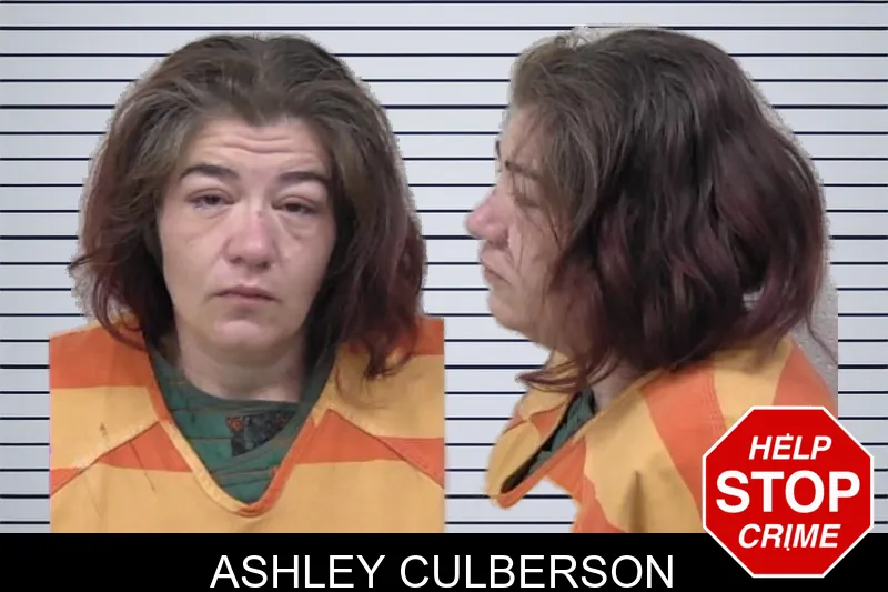Ashley Culberson mugshot