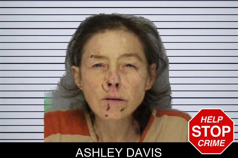 Ashley Davis mugshot – Hall County , Georgia Ashley Davis mugshot