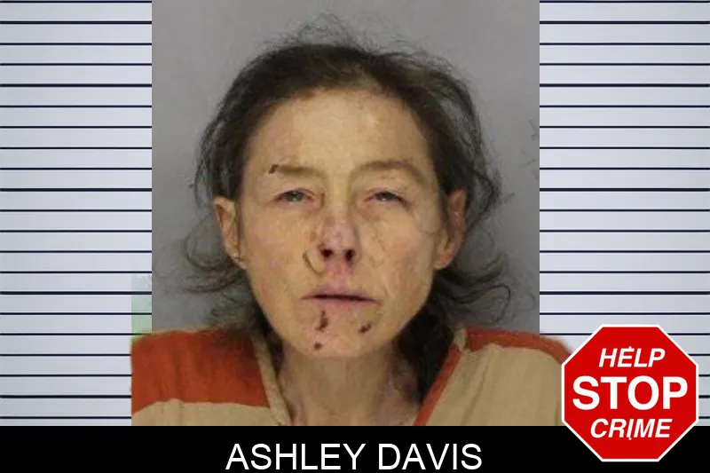 Ashley Davis mugshot