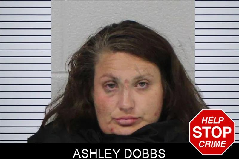 Ashley Dobbs mugshot – Carroll County , Georgia Ashley Dobbs mugshot