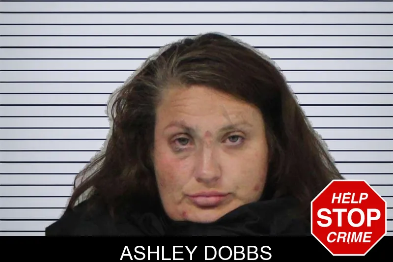 Ashley Dobbs mugshot