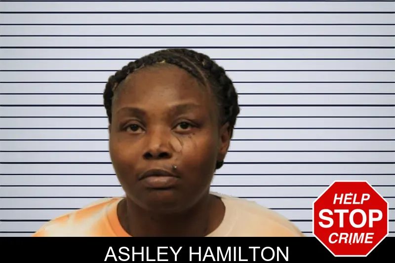 Ashley Hamilton mugshot
