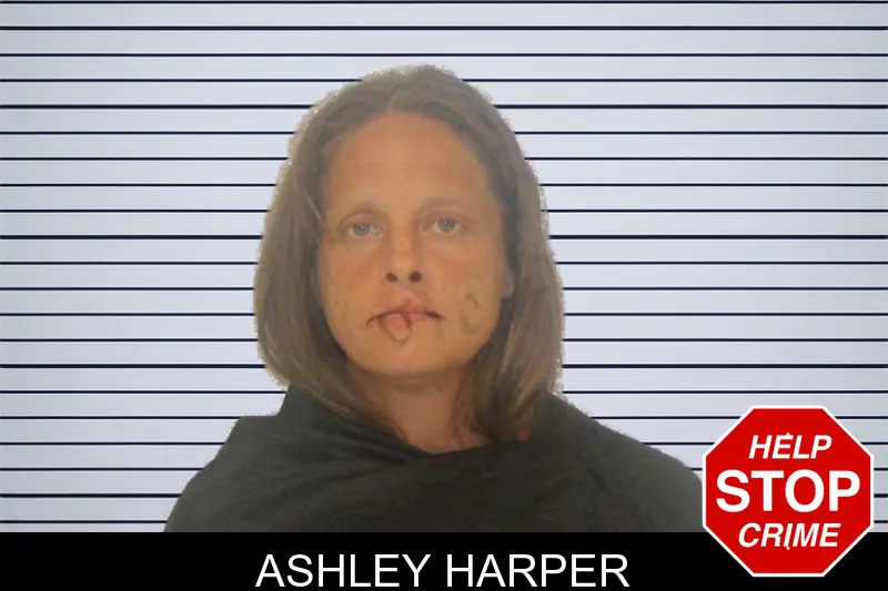 Ashley Harper mugshot