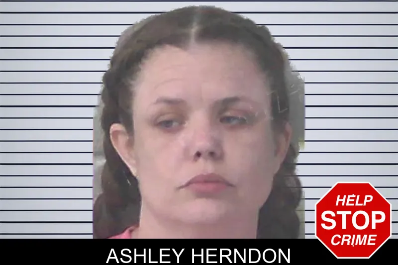 Ashley Herndon mugshot